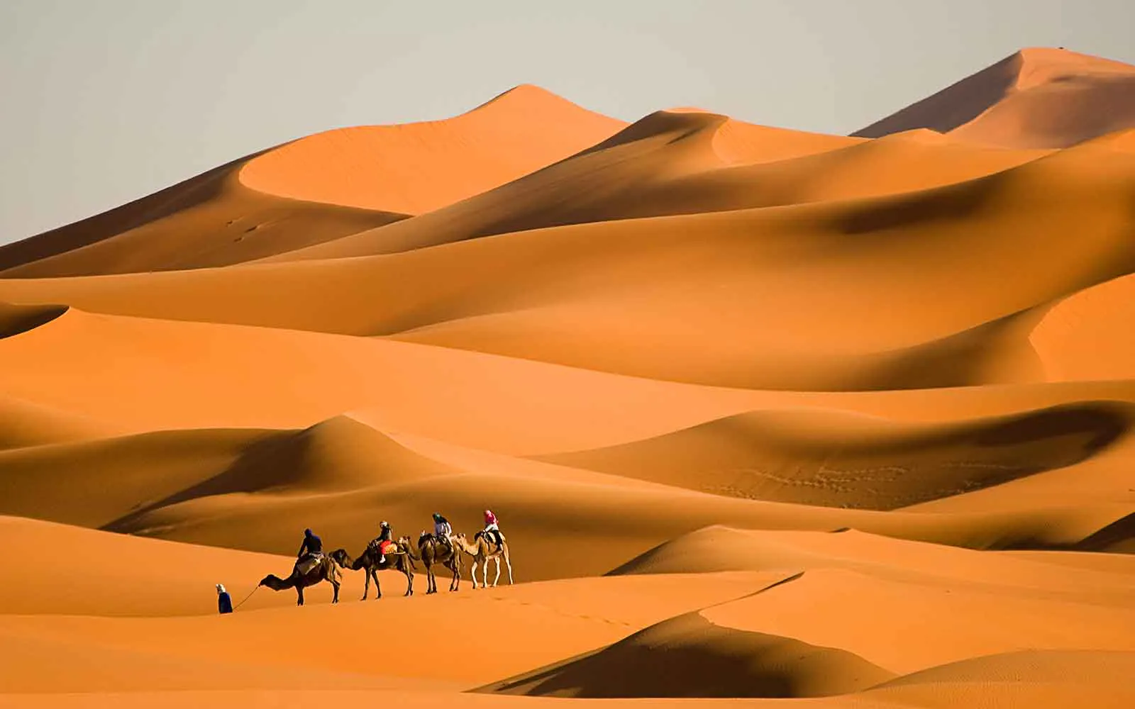 A group of people on an unforgettable Africa Adventure, riding camels through the vast Sahara Desert.