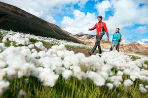 Male and female solo hikers walking along Laugavegur hike in Iceland