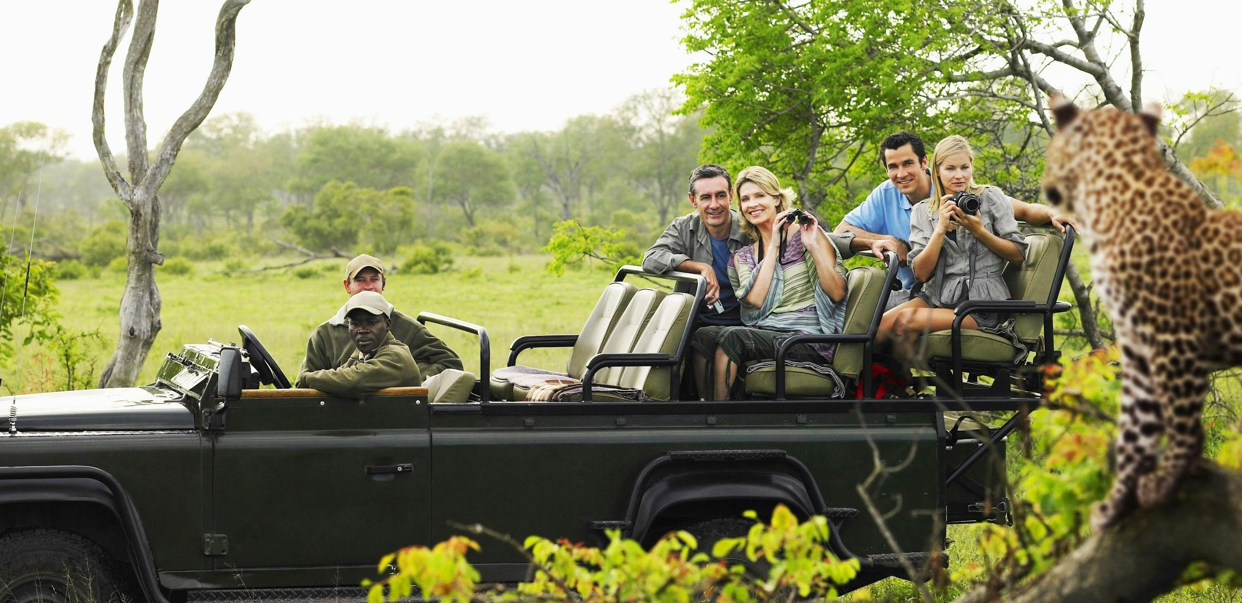 A group of people sitting in the back of a jeep watching a cheetah.