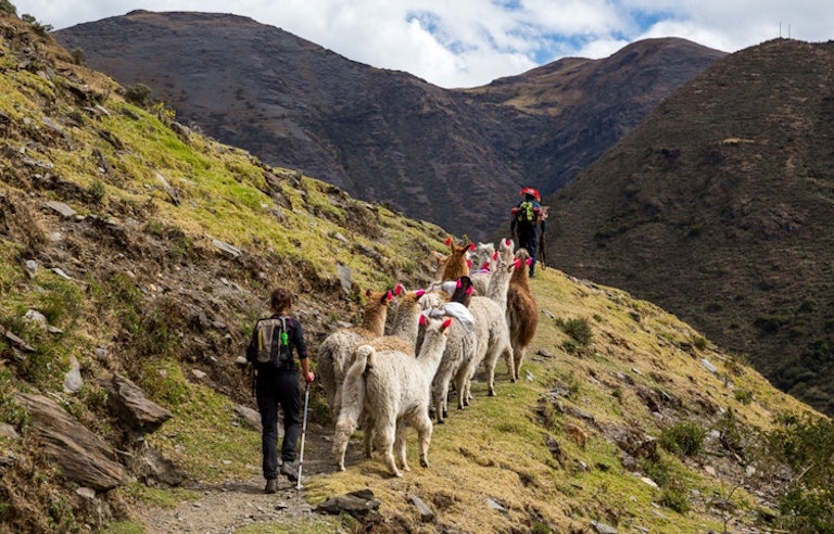 female solo hiker walking along iconic Inca Trail to Machu Picchu in the Peruvian Andes