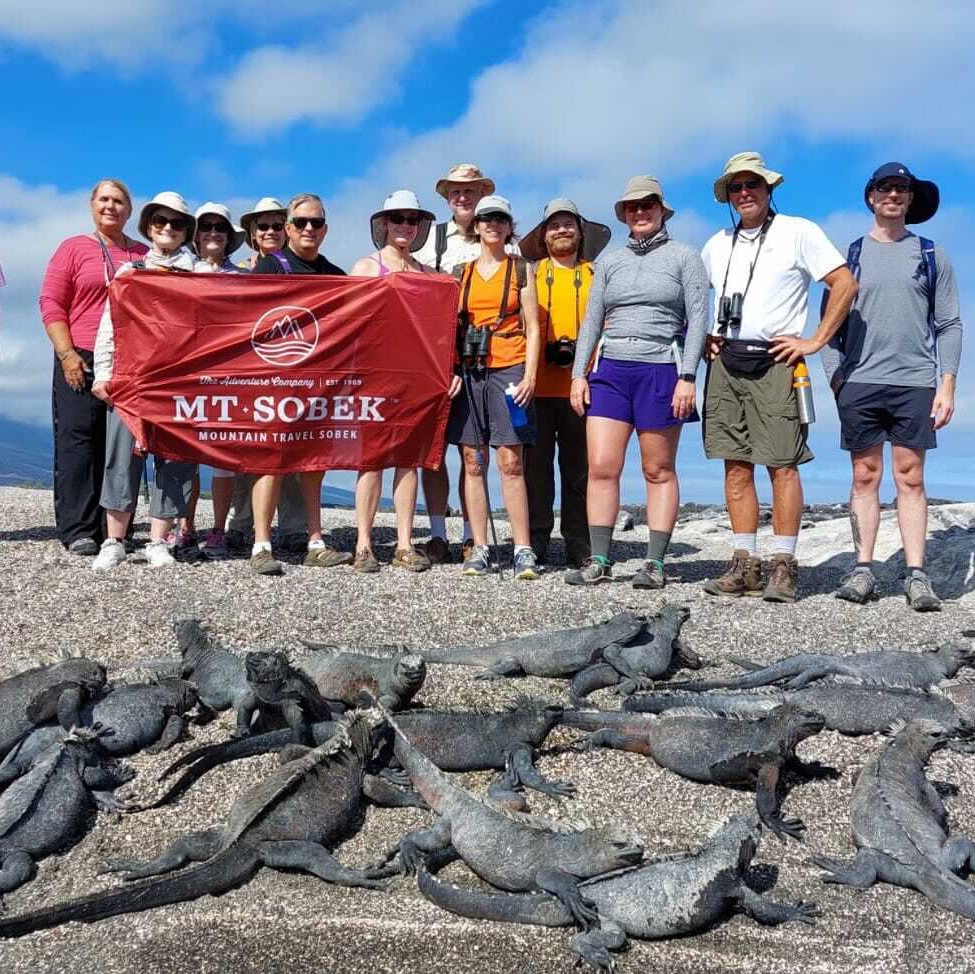 A group of adventure travel enthusiasts standing in front of a mesmerizing array of lizards.