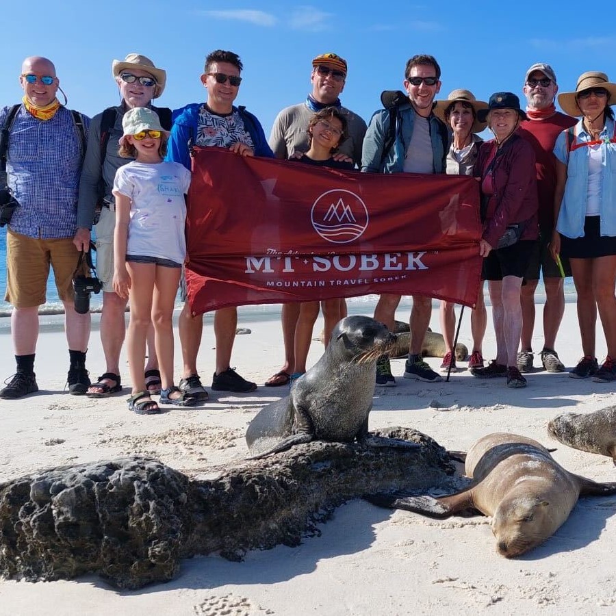 A group of people from adventure travel companies posing with sea lions on the beach.