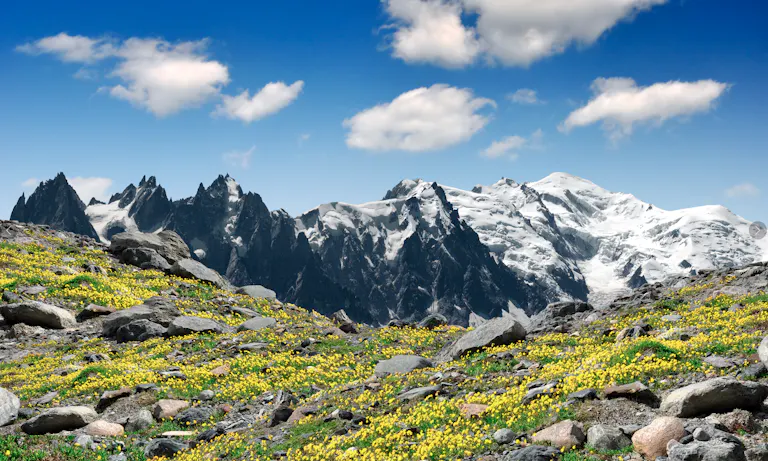 Experience the best hikes of a lifetime amidst a stunning mountain range adorned with vibrant yellow flowers and majestic rocks in the background.