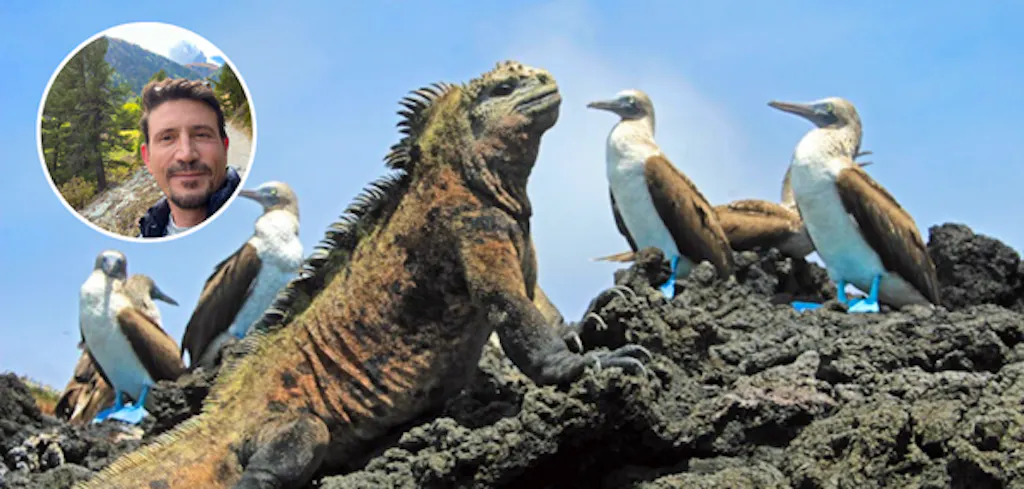Galapagos