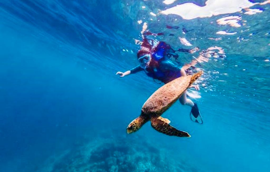 go adventure snorkeling with The Galapagos sea lions 