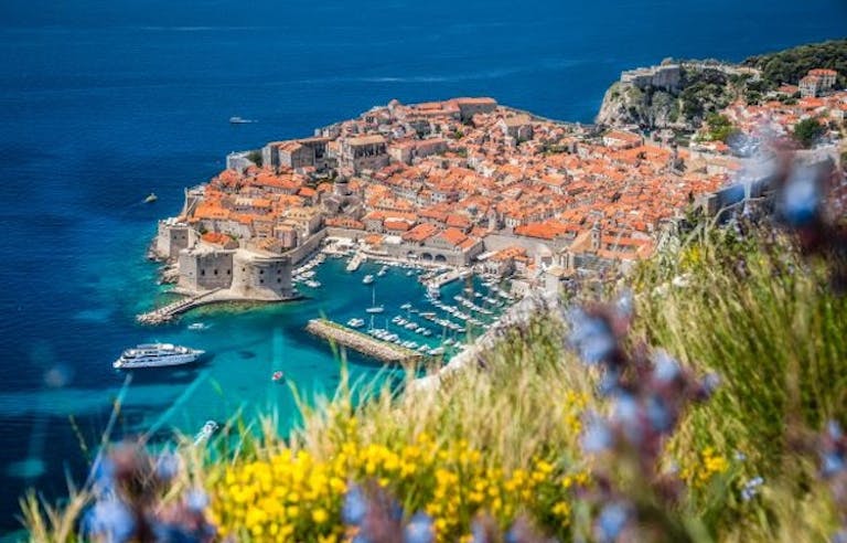 Beautiful view of Croatia’s Istrian Peninsula surrounded by water and yellow flowers in Europe