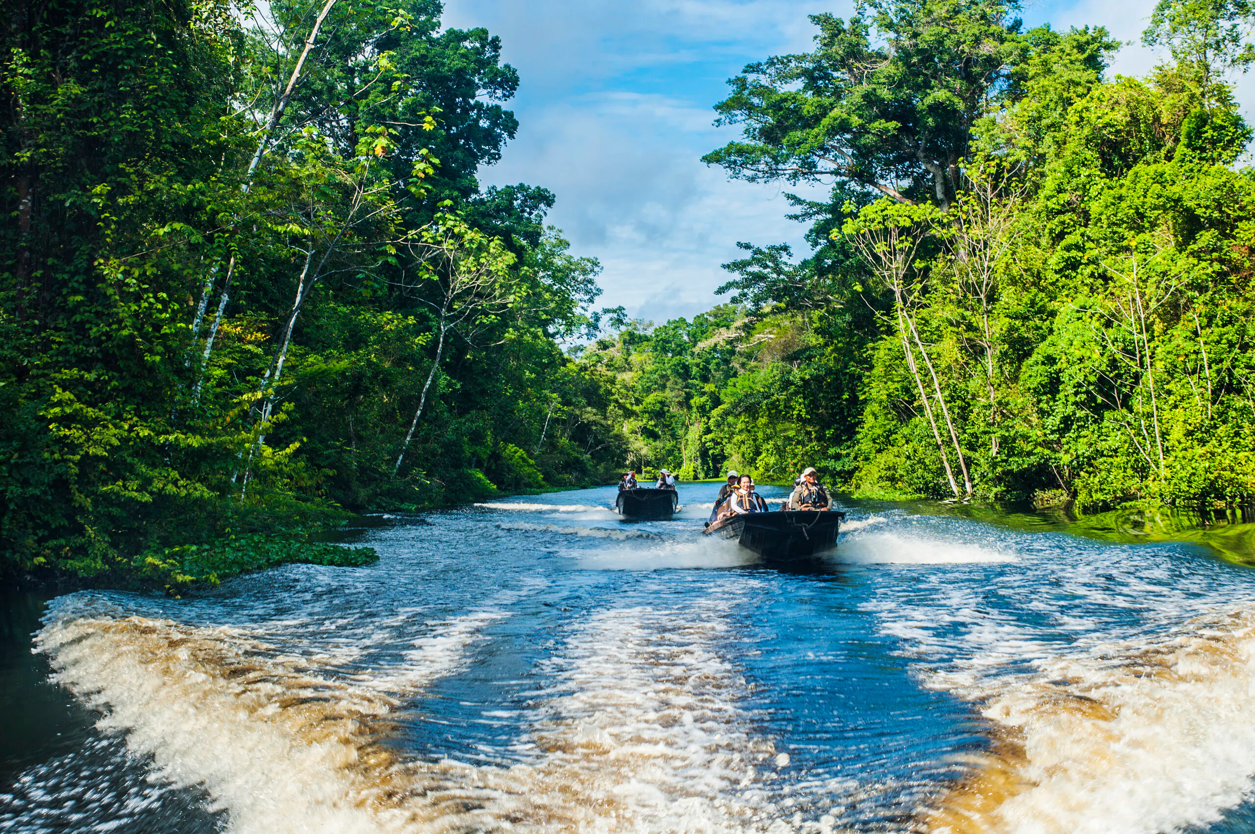 going in the amazon rainforest