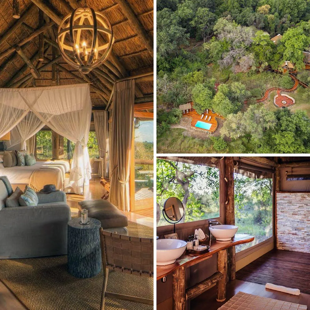 Camp Moremi safari and wildlife adventure