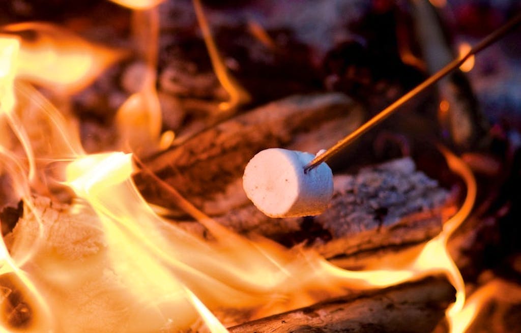 toasting marshmallows