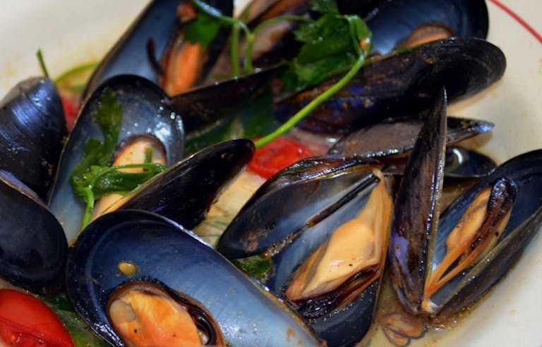 Enjoy gourmet fish dinners in Brindisi and Gallipoli