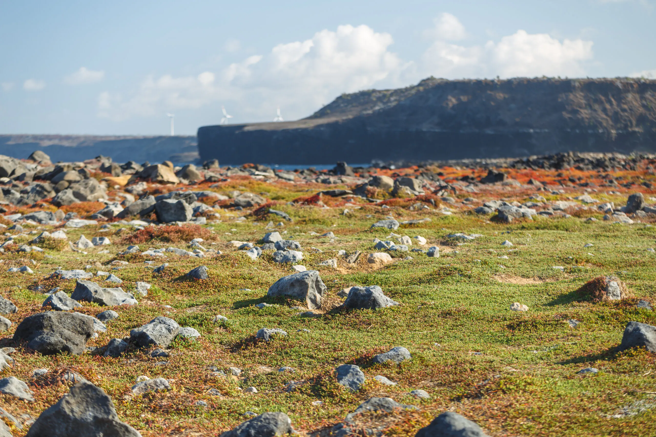 galapagos islands 