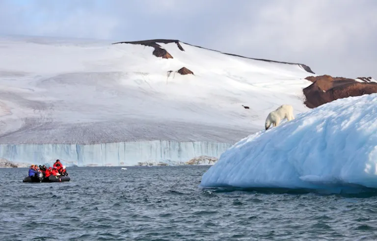 polar ice