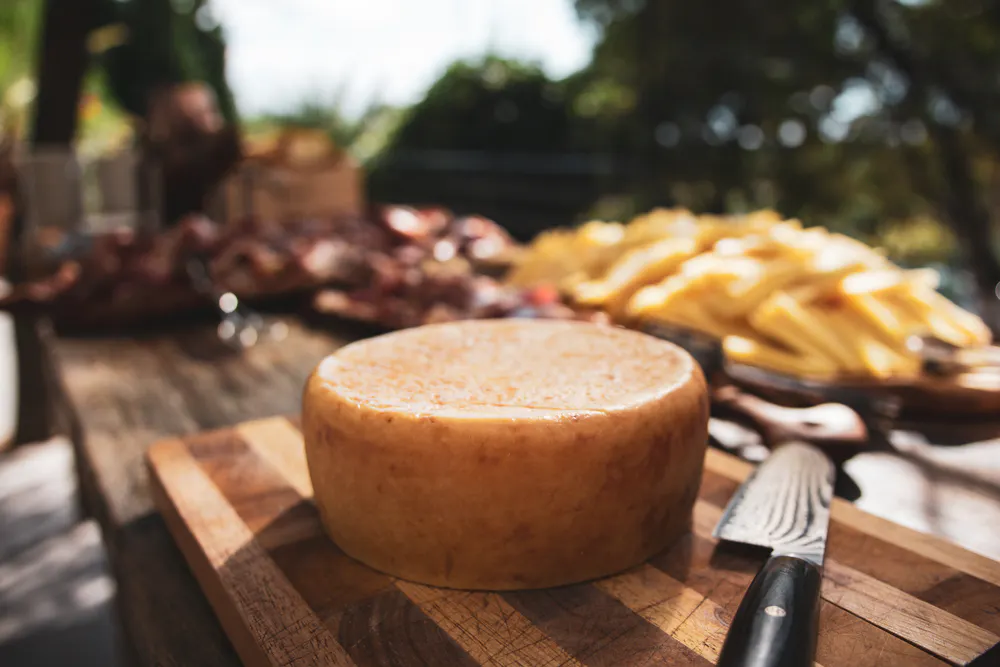 cheese and grapes in Istria 