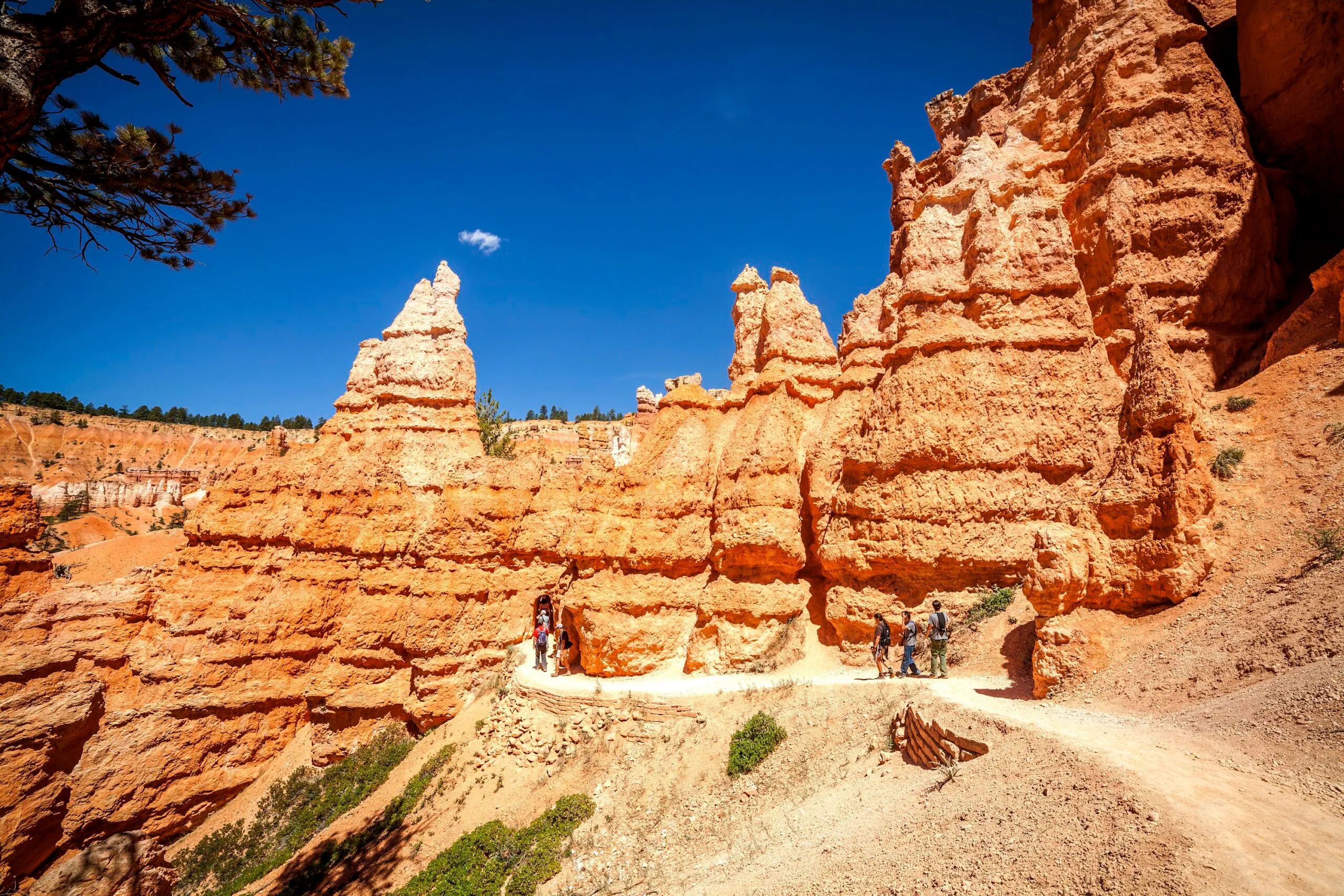 Bryce canyon national park, utah.