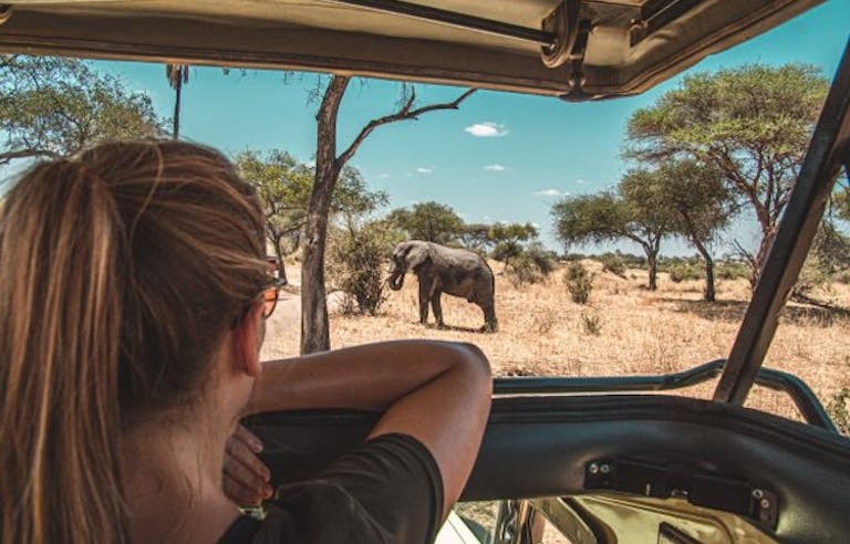 Tourist leaning over safari car watching wildlife in Tanzania