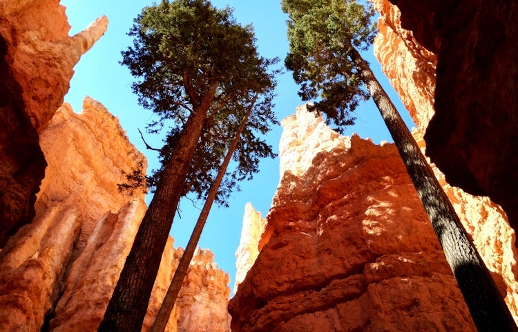 national parks