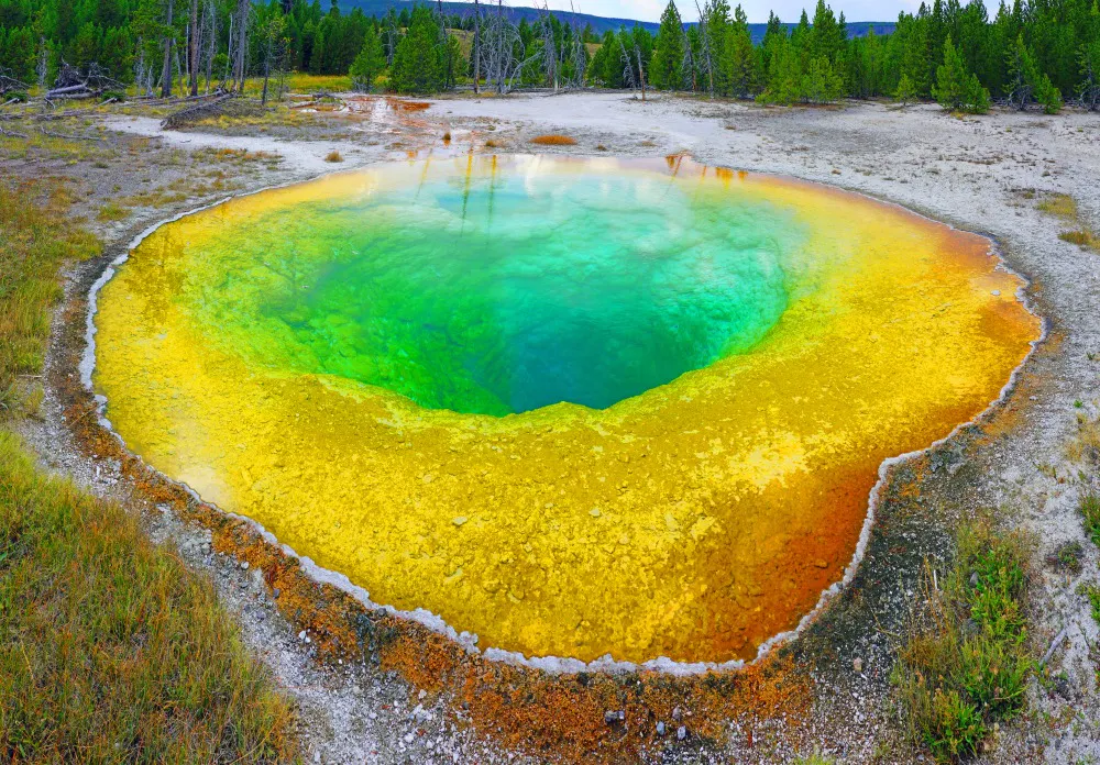 Colorful bright color of the Morning Glory Pool, Yellowstone National Park, Wyoming, USA