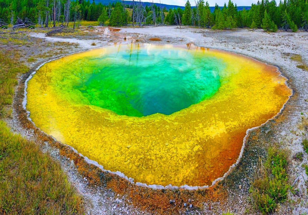 Colorful bright color of the Morning Glory Pool, Yellowstone National Park, Wyoming, USA