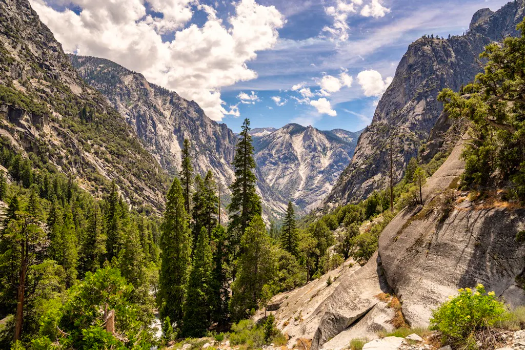 Landscape filled with sequoias and oaks in Kings Canyon National Park, California, USA
