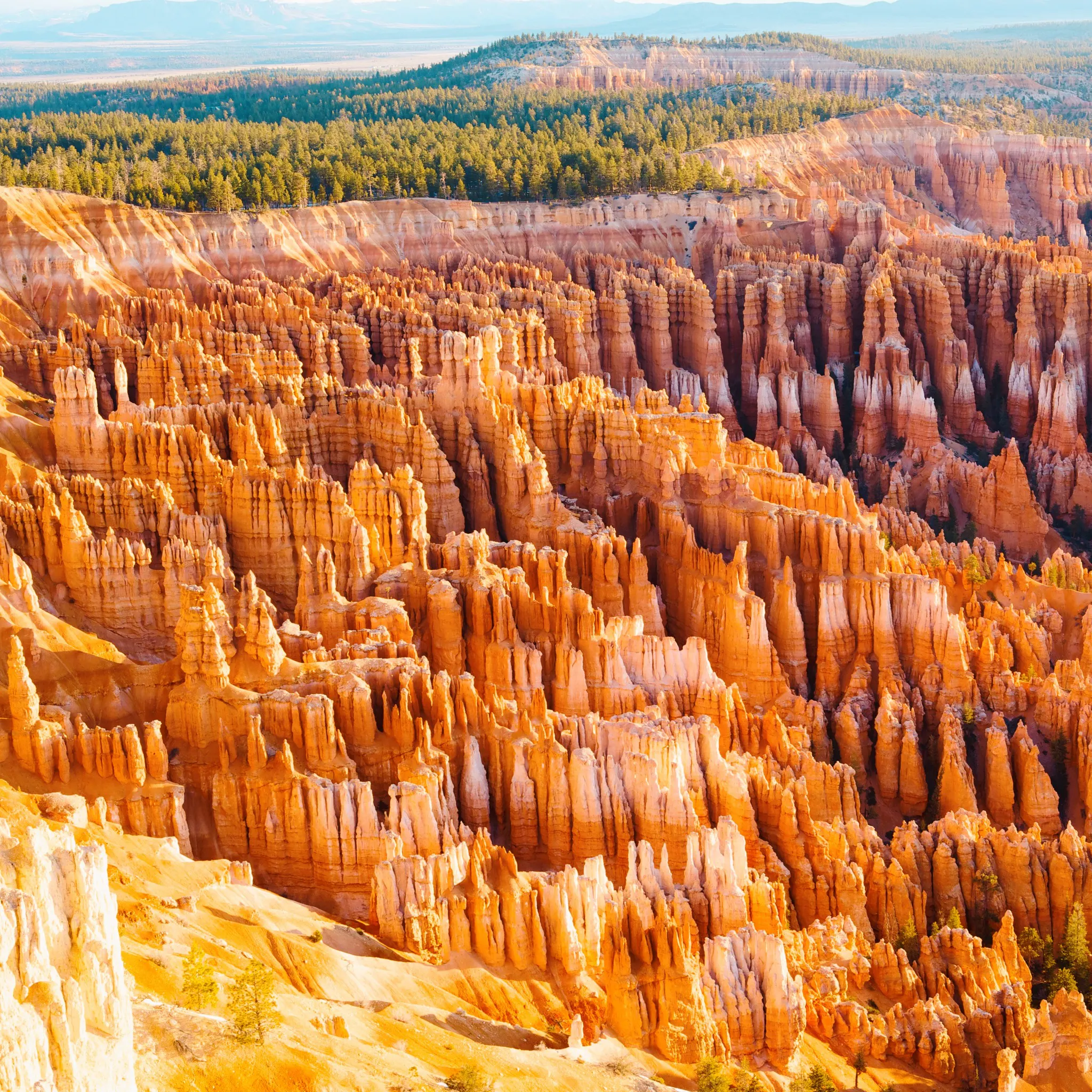 Yellow mountains and greens on Bryce Canyon National Park