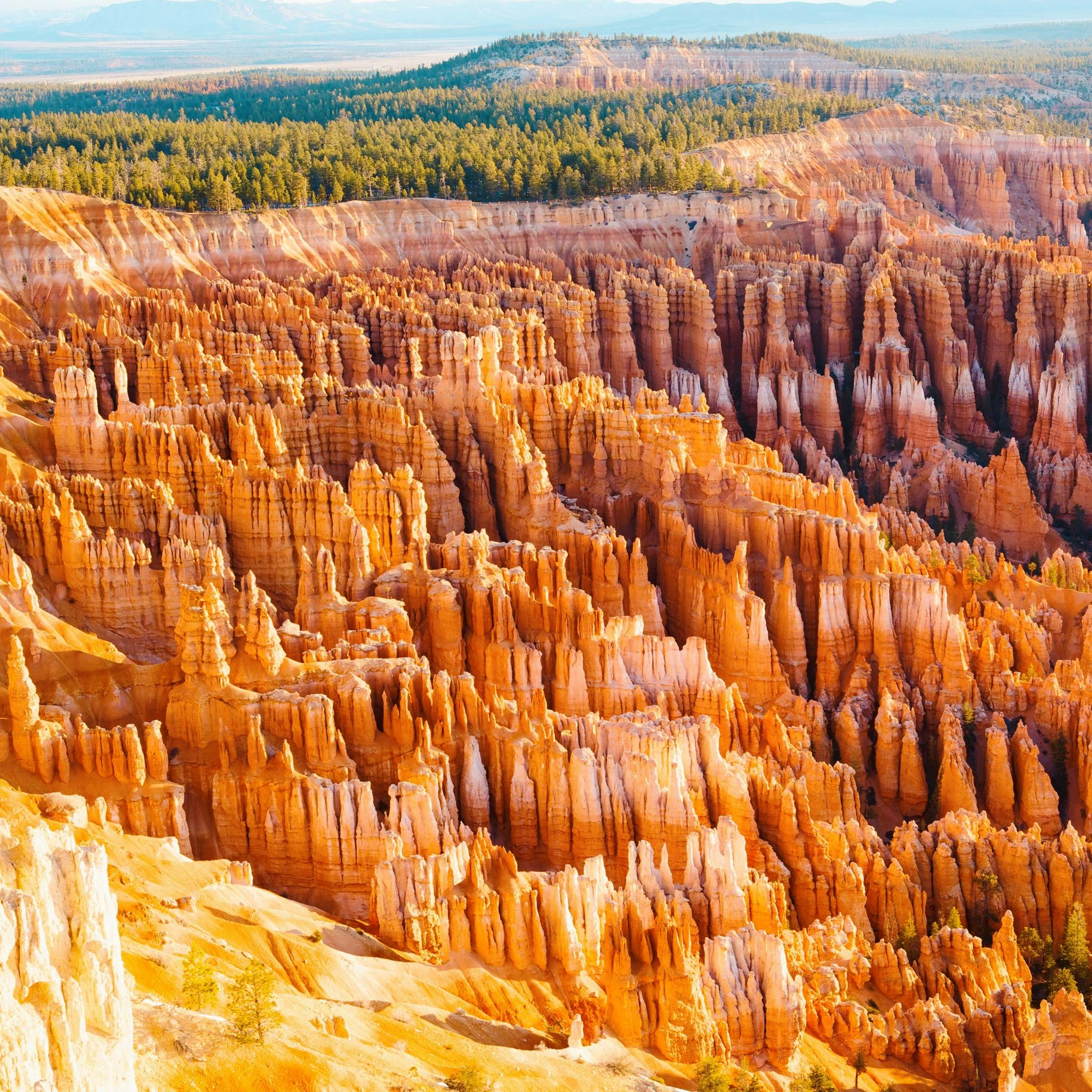Great view of hoodoos, spires, and fins and fantastic shapes in Bryce Canyon National Park in Utah, USA