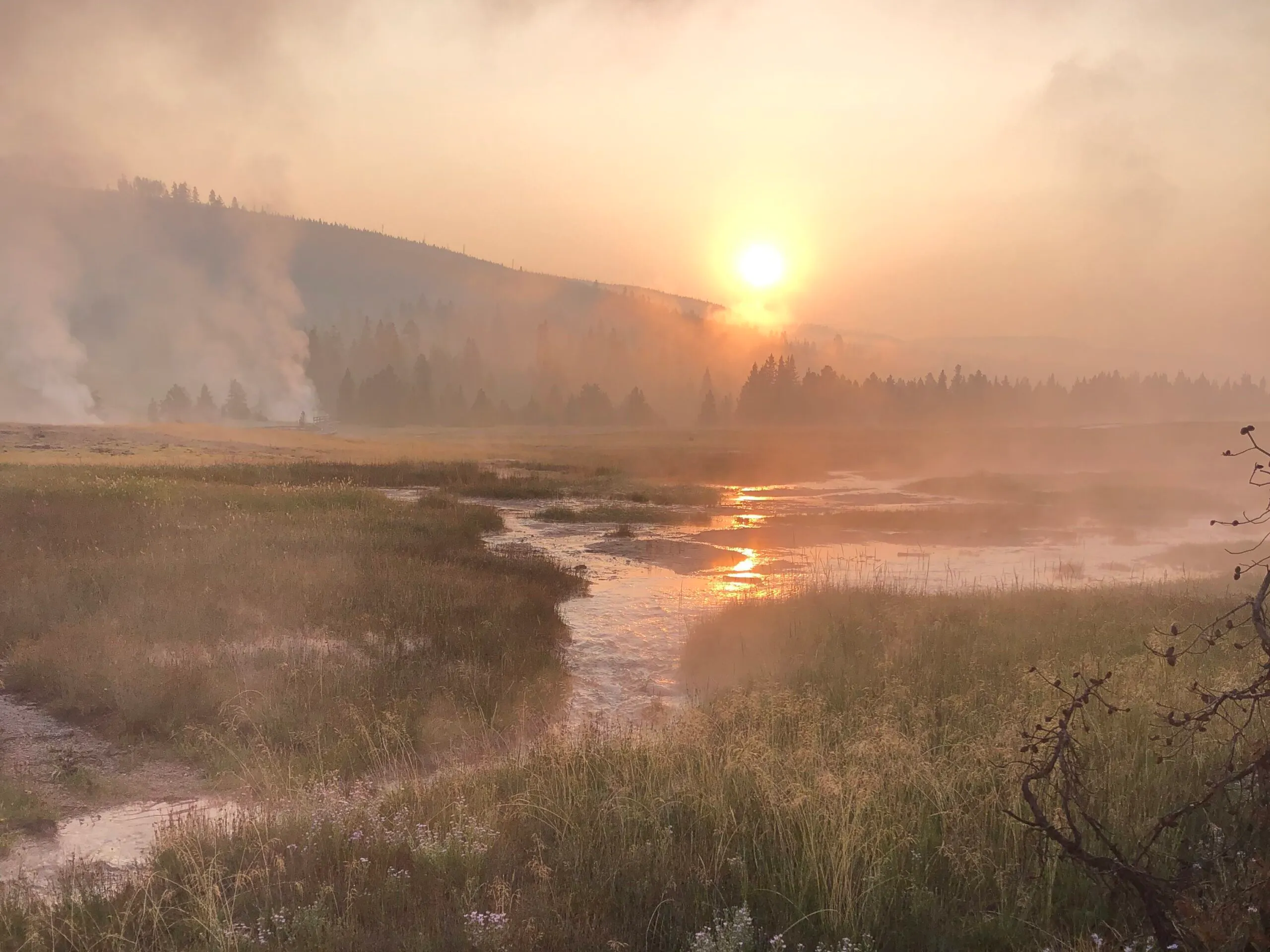 Sun rising in Yellowstone National Park