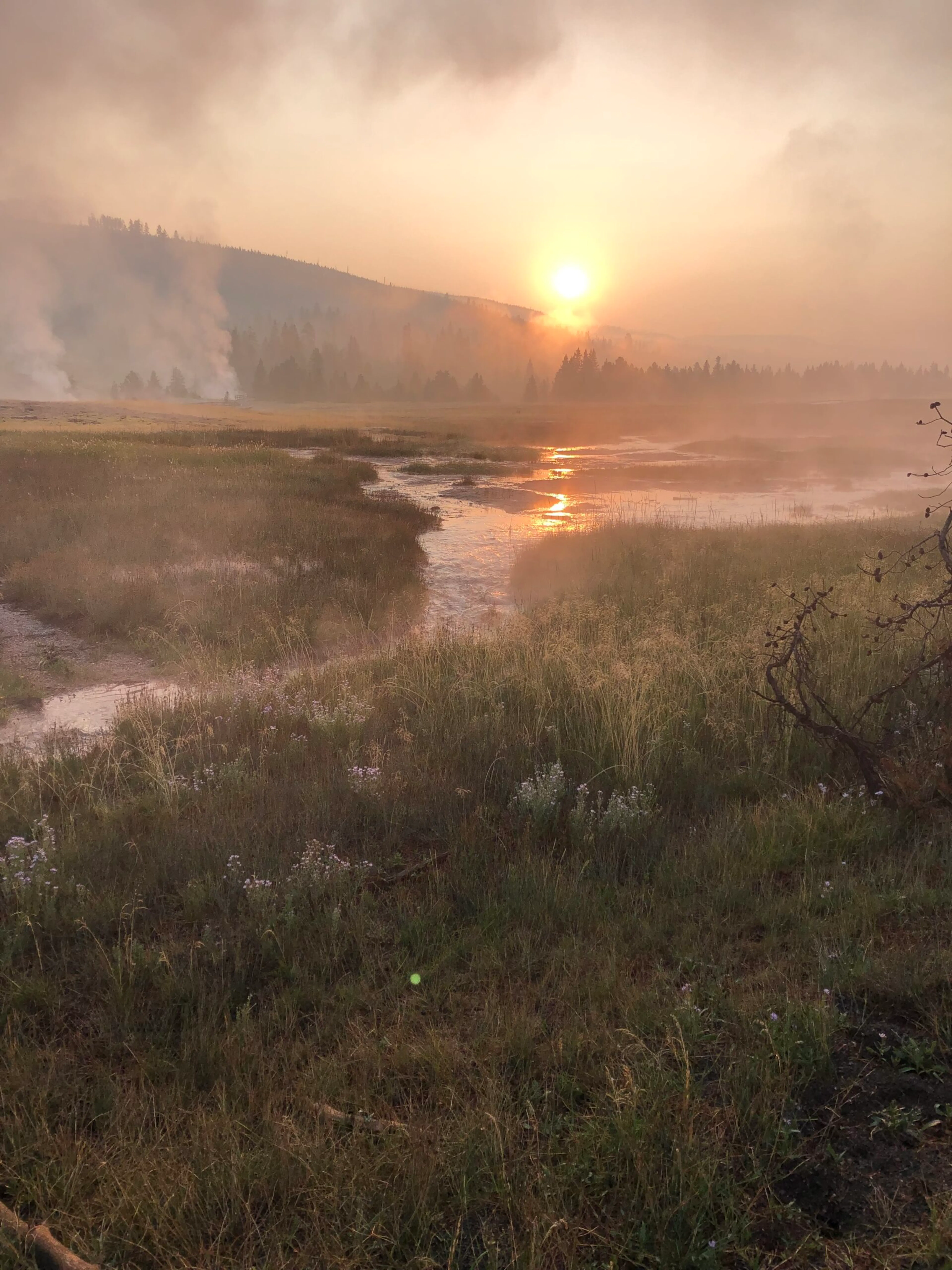 Sunrise over a river in yellowstone national park.