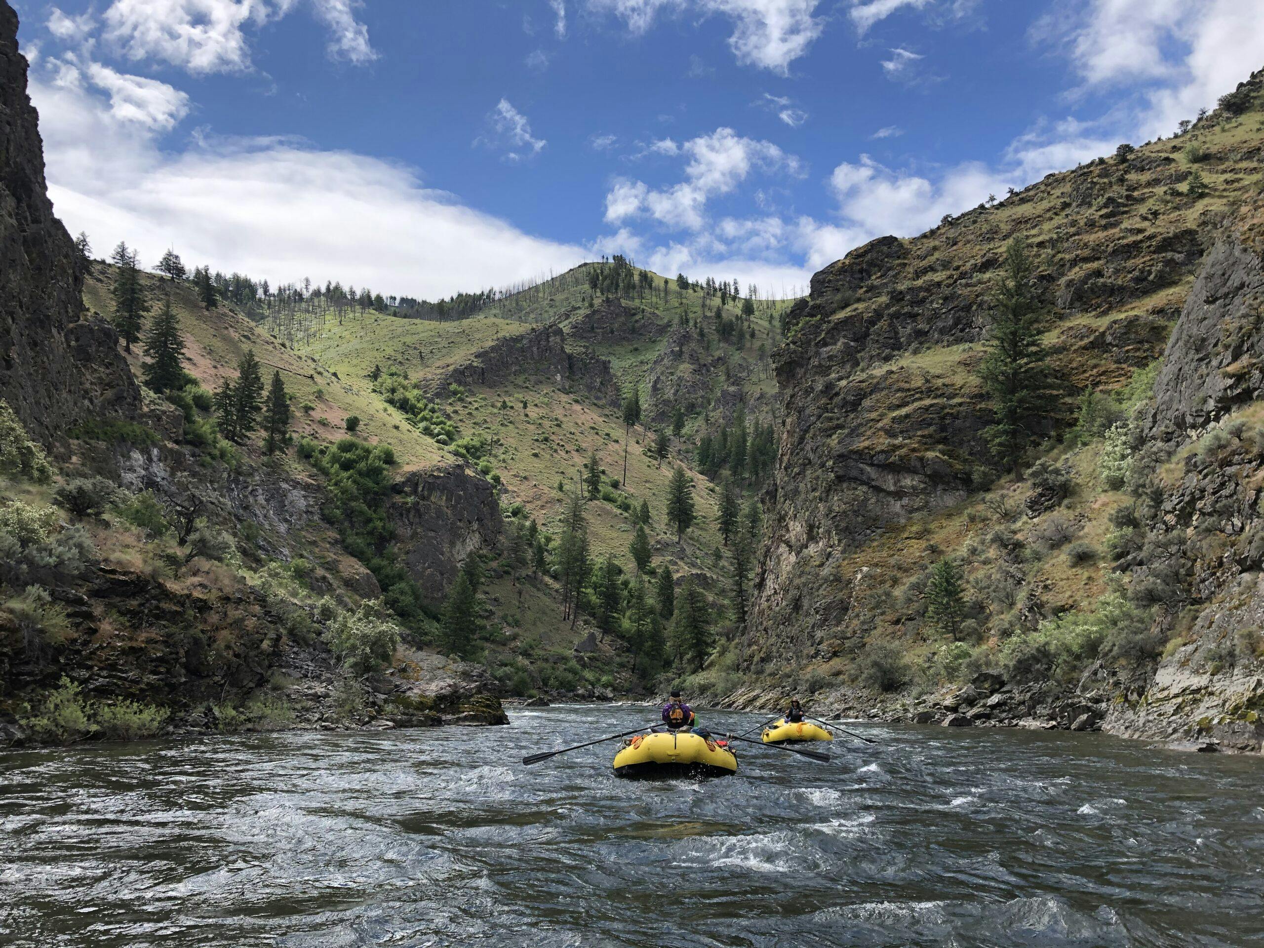 rafting on the whitewaters of the idaho middle fork of the salmon river
