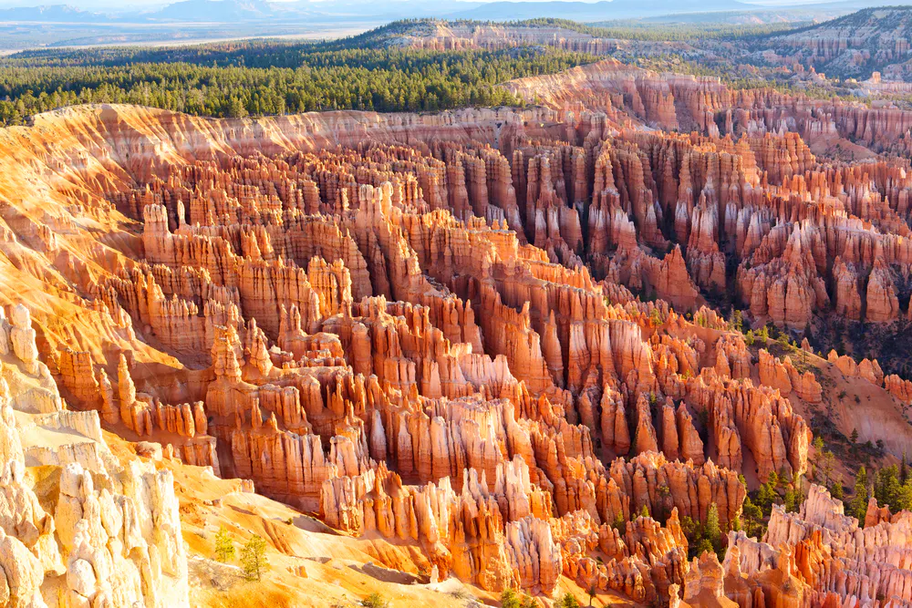 Bryce Canyon National Park's famous hoodoos from the rim