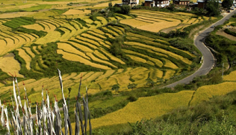 Landscape nature photography of Haa Valley, which is located in the west of Bhutan and bordering Sikkim