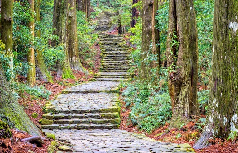 Hiker on a pilgrimage in the Kumano Kodo trail 
