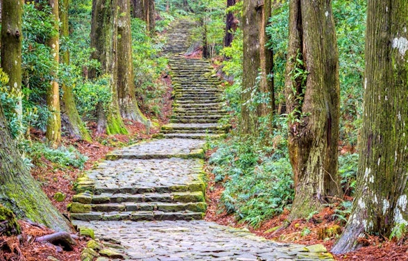 Everything You Need to Know Before Hiking the Kumano Kodo