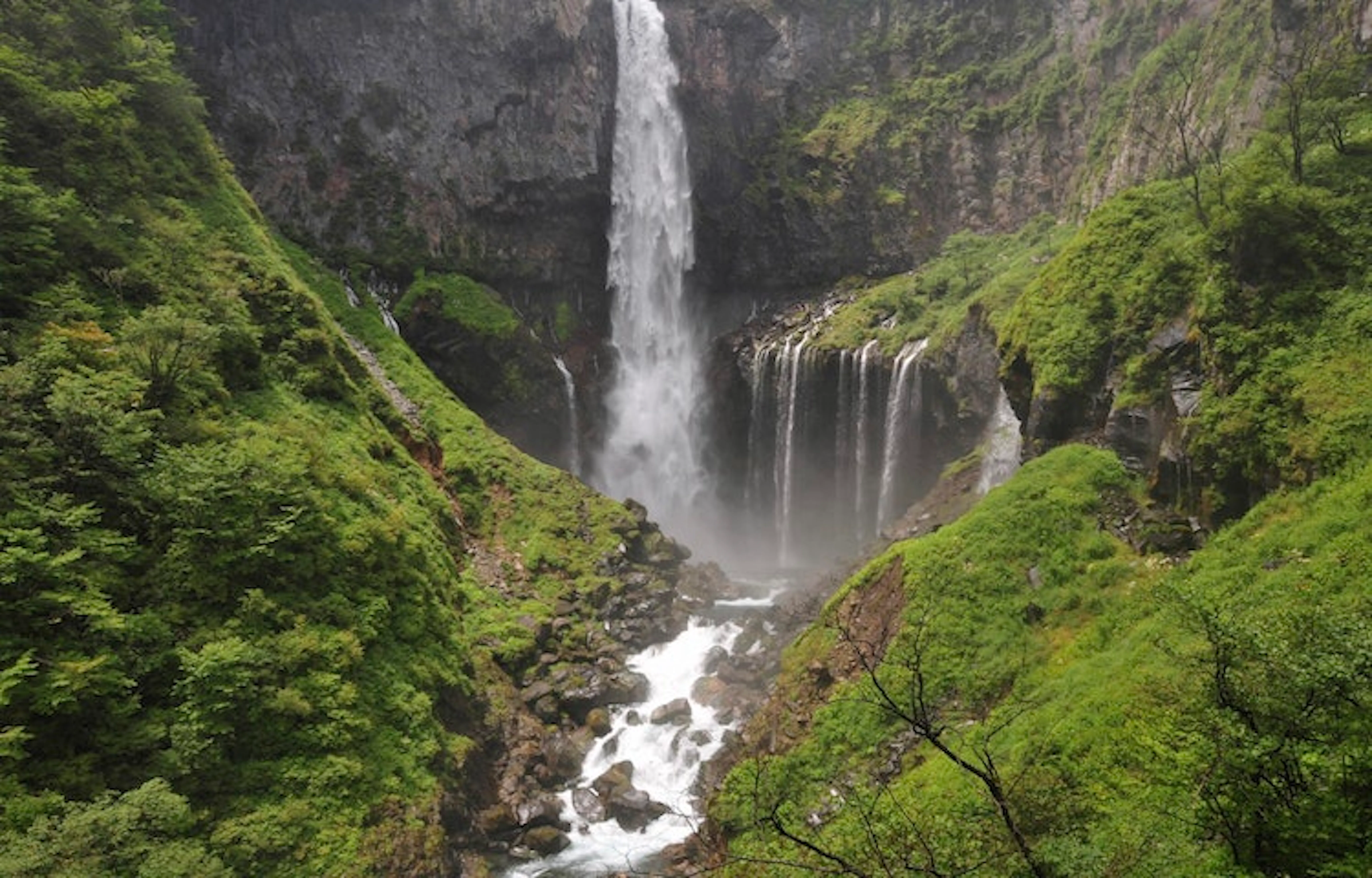 Japan travel guide: A breathtaking waterfall nestled in the heart of a lush green forest.