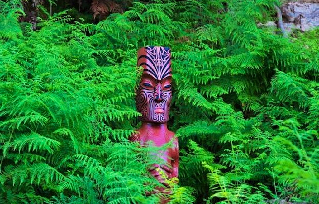 Take in the enchanting Whirinaki rainforest, one of the world's last prehistoric rainforests! | Shutterstock.com
