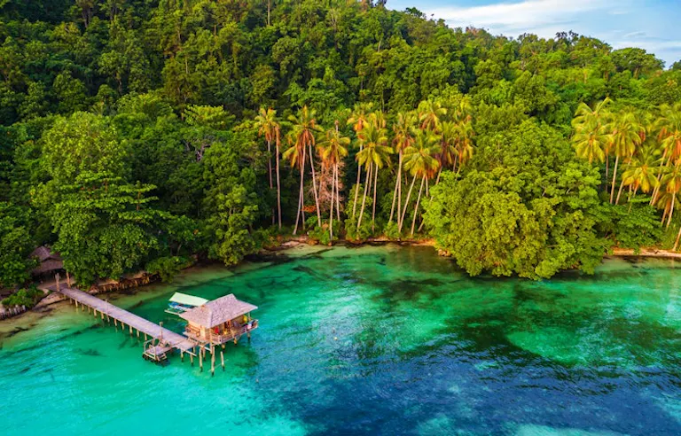Trek, snorkel & sail in a pristine archipelago of the Coral Triangle, home to an abundance of spectacular aquatic life