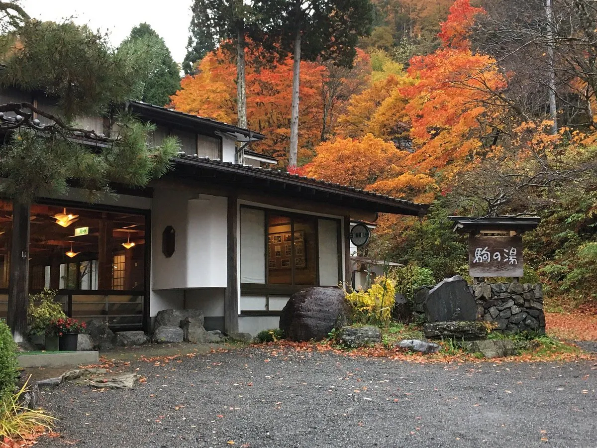 Fukushima ryokan with comfortable amenities