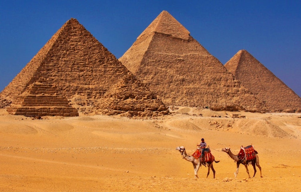 Camels walking through Egypt's golden sandy landscape near Giza Pyramids