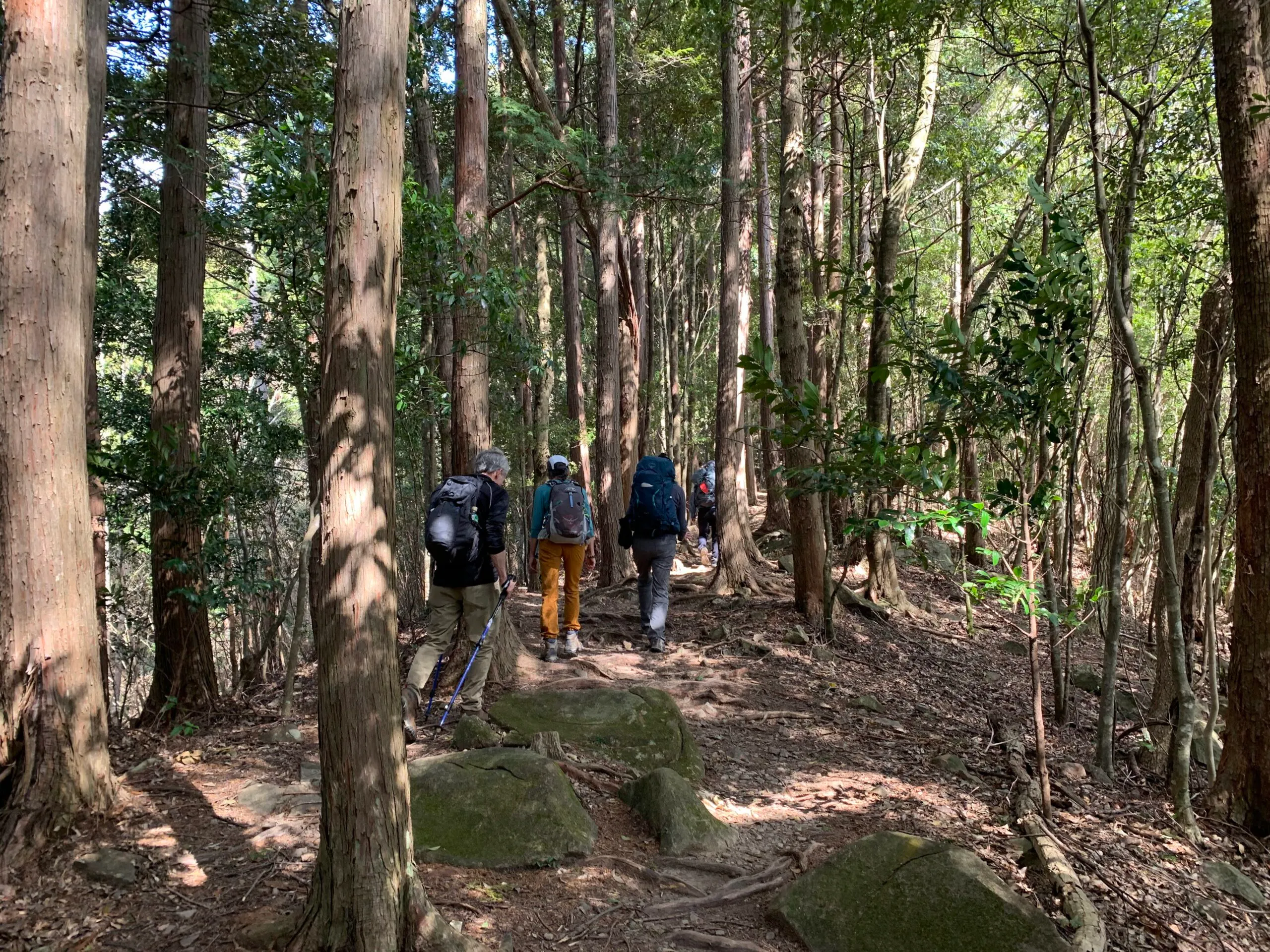 Travelers embarking on the Kumano Kodo Ancient Pilgrimage Route from the starting point of the Nakahechi Route