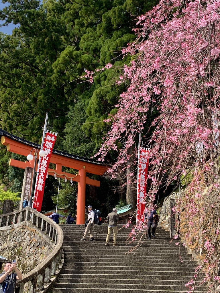 Travelers exploring the Shinto- and Buddhism- inspired sacred shrines along the Kumano Kodo Ancient Pilgrimage Trail