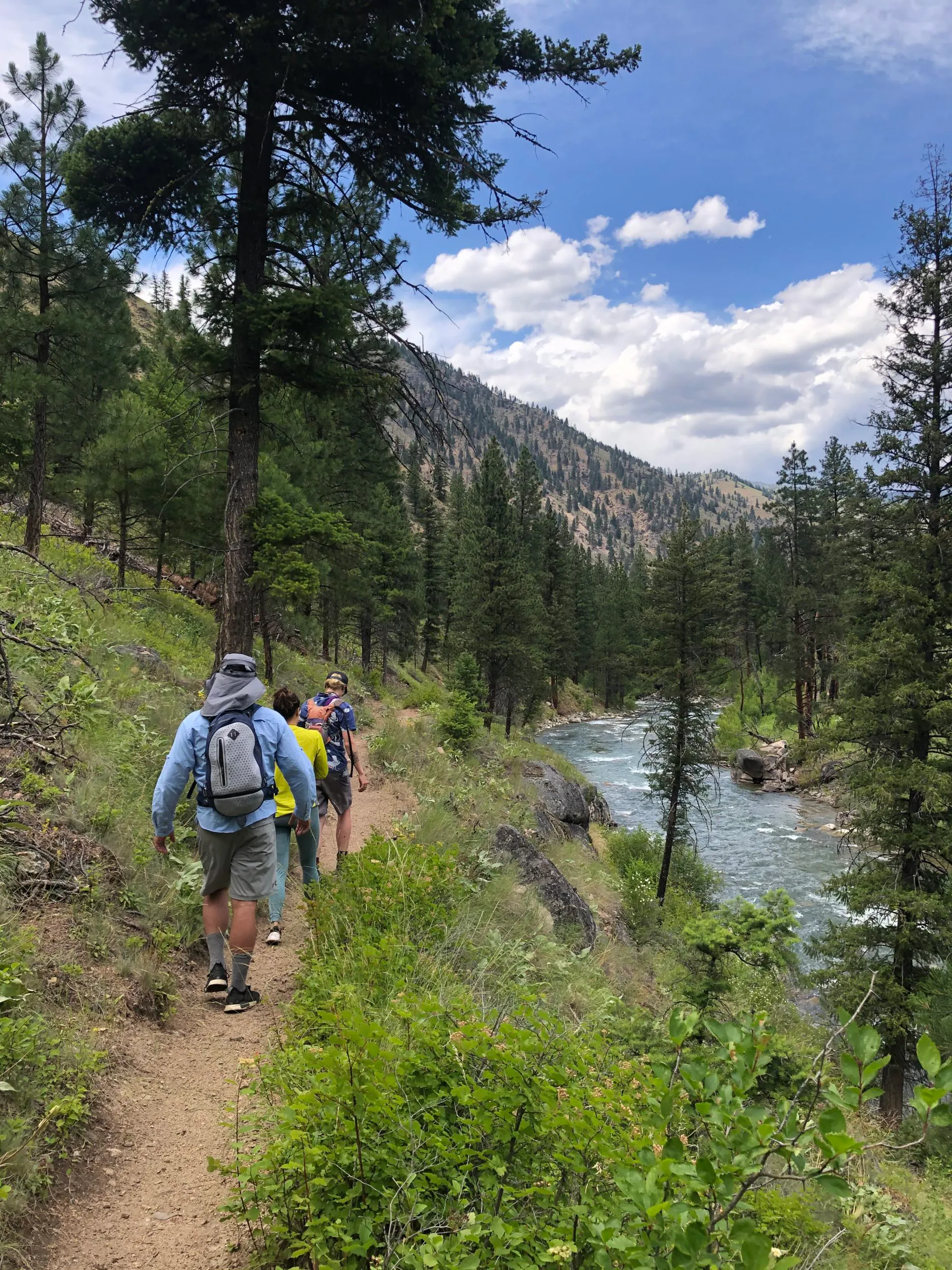 Family traversing on a hiking trail located near Idaho's Middle Fork of the Salmon River