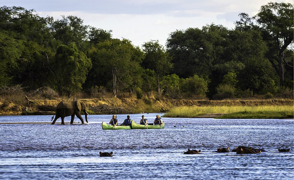Canoe safari at Rukomechi Camp in Mana Pools in Zimbabwe