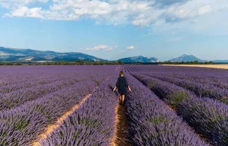 France provence