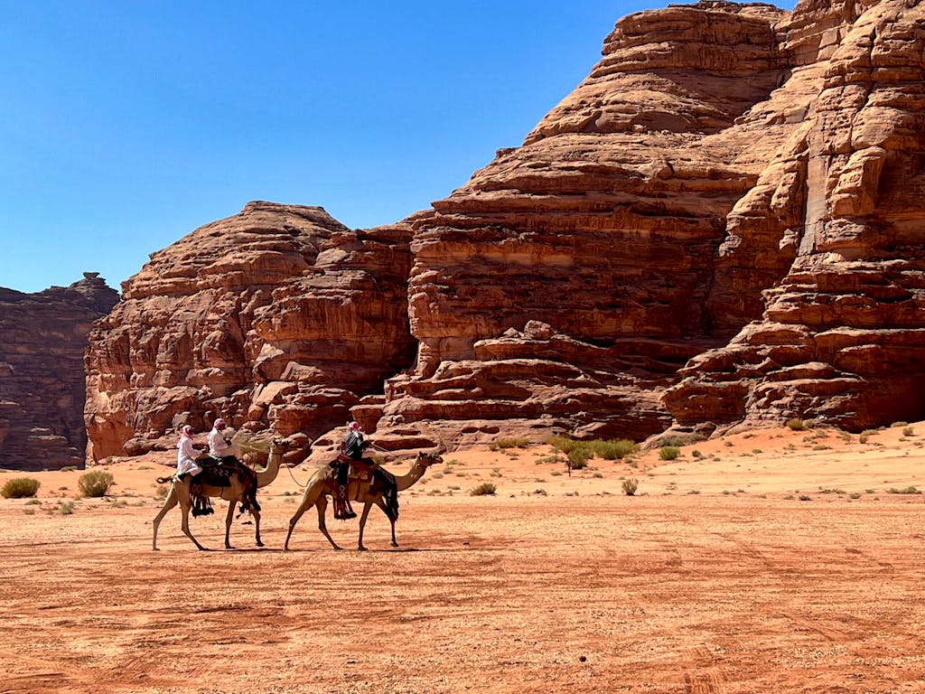 Tourists riding camels in the dessert landscapes of Saudi Arabia