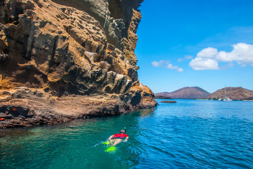 Tourist snorkelling near the volcanic rock of Santiago Islands in the Galapagos in Ecuador