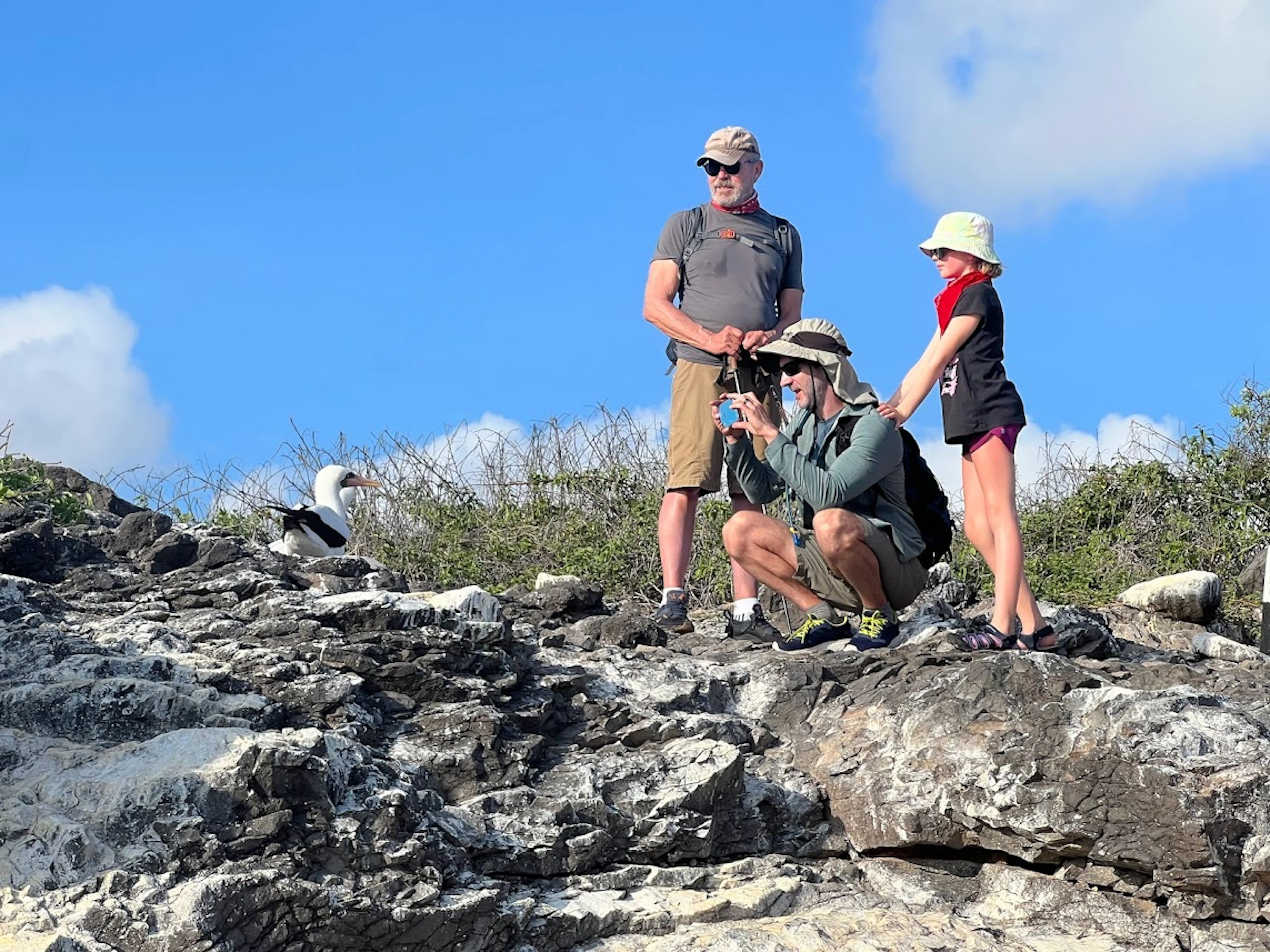 Family discovering frigate birds in the Galapagos Islands