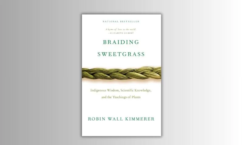 Braiding strawgrass by robin waller.