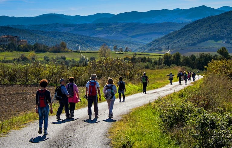 Group of trekkers on a guided walking tour along Tuscan vineyards and cypress in Italy, Europe
