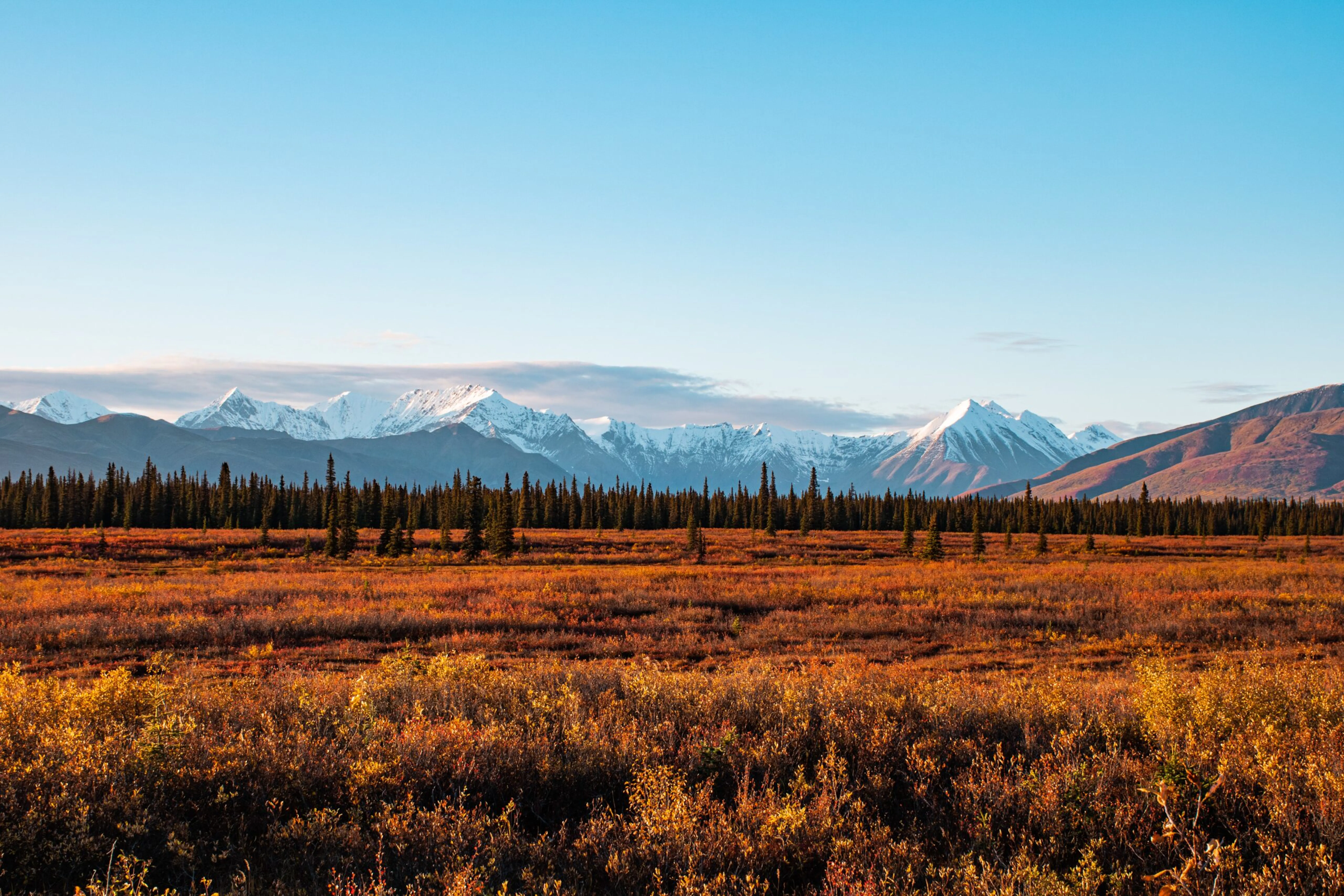 A field with mountains in the background.