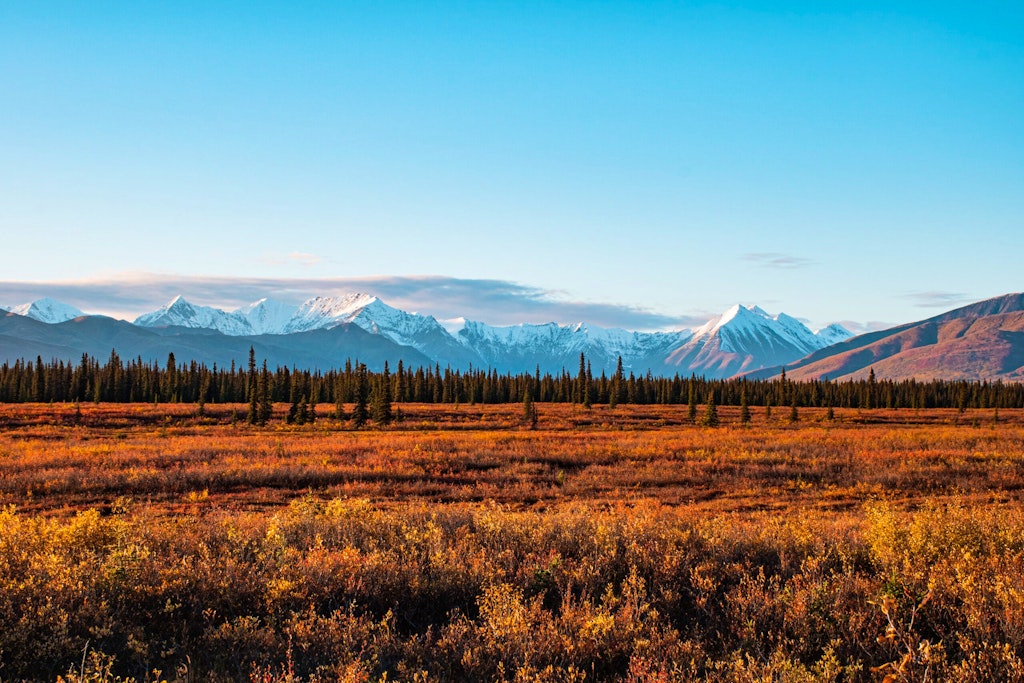 Prairie lands in the wilderness of Alaska 