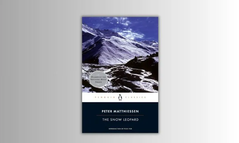 A book cover with a mountain in the background.